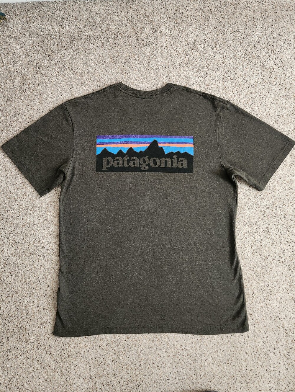 Patagonia Men's Logo Graphic Tee